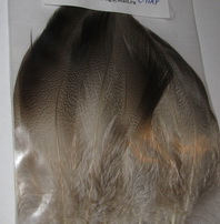 mallard bronze spey 12 ��� Wapsi